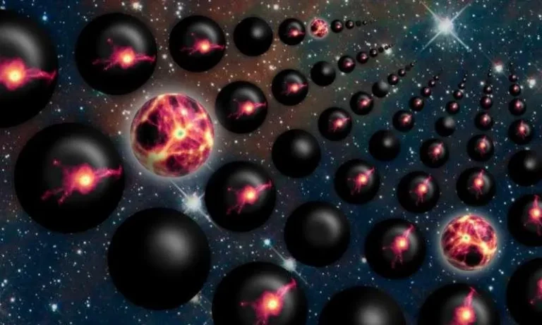 Evidence for a Parallel Universe?