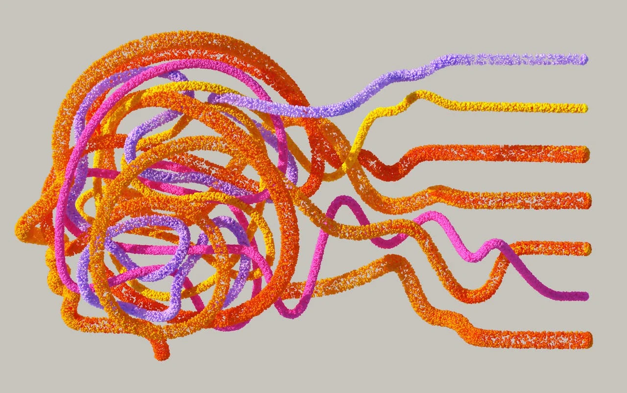 The Brain’s Plasticity: How Neural Networks Adapt
