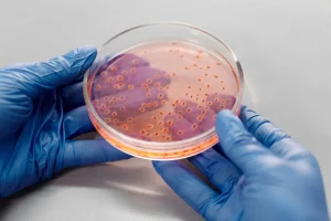 The Hidden World of Microorganisms: Earth’s Smallest Lifeforms