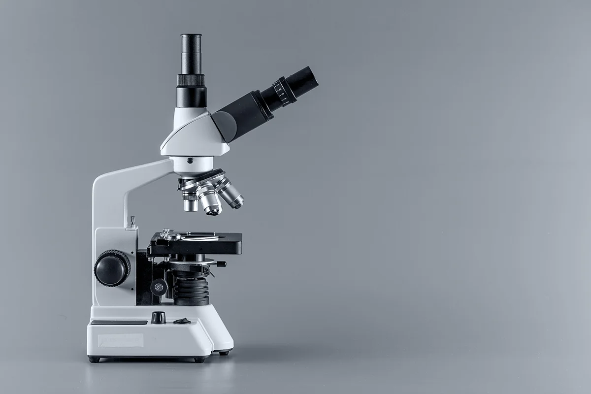 The Microscopes Turret A Gateway to Magnification