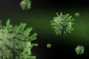 The Role of Mutation in Evolution: Engine of Genetic Diversity