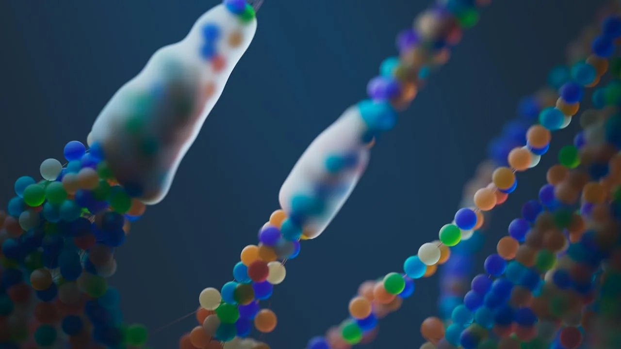 What Are Stem Cells: The Body’s Master Cells