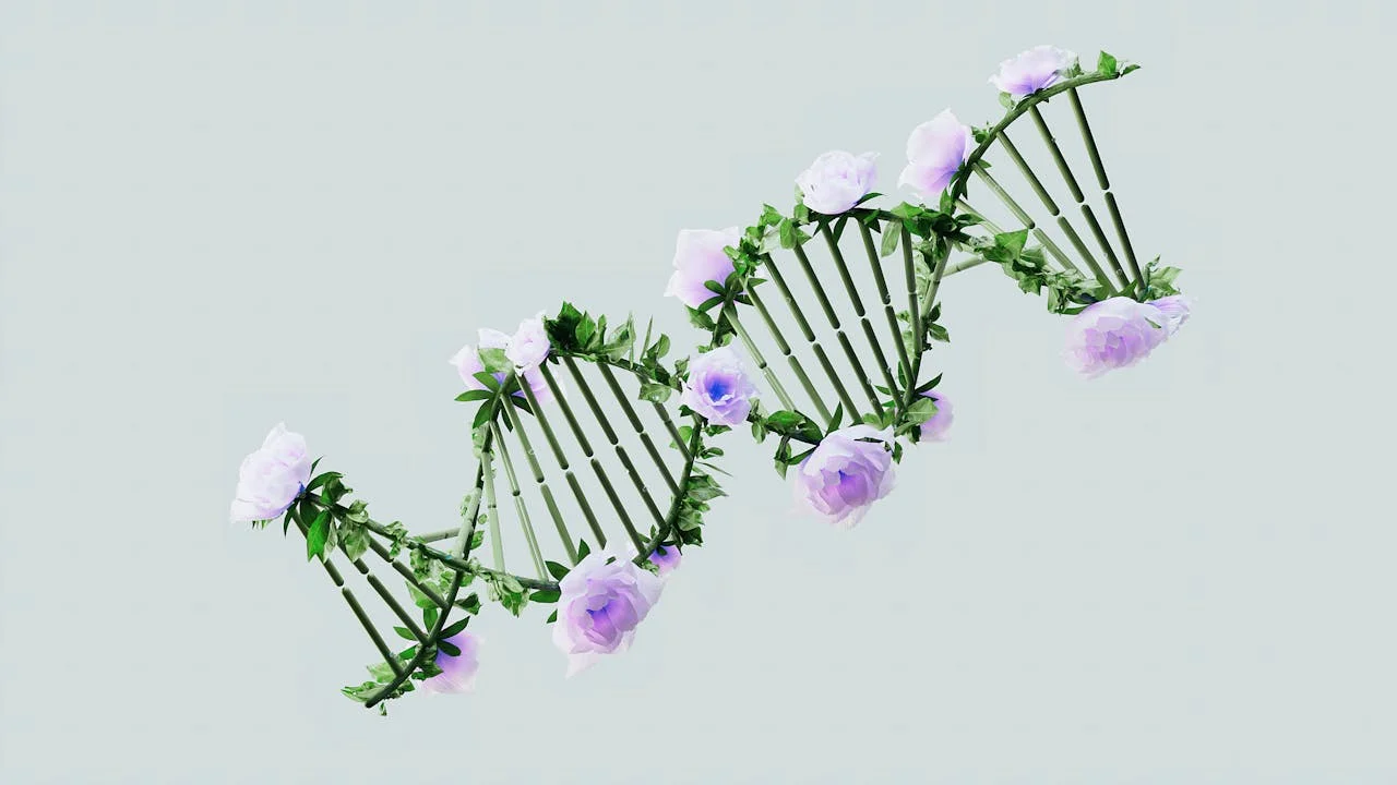 What Is DNA: The Blueprint of Life Explained