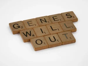 What Is a Gene: The Blueprint of Heredity and Function