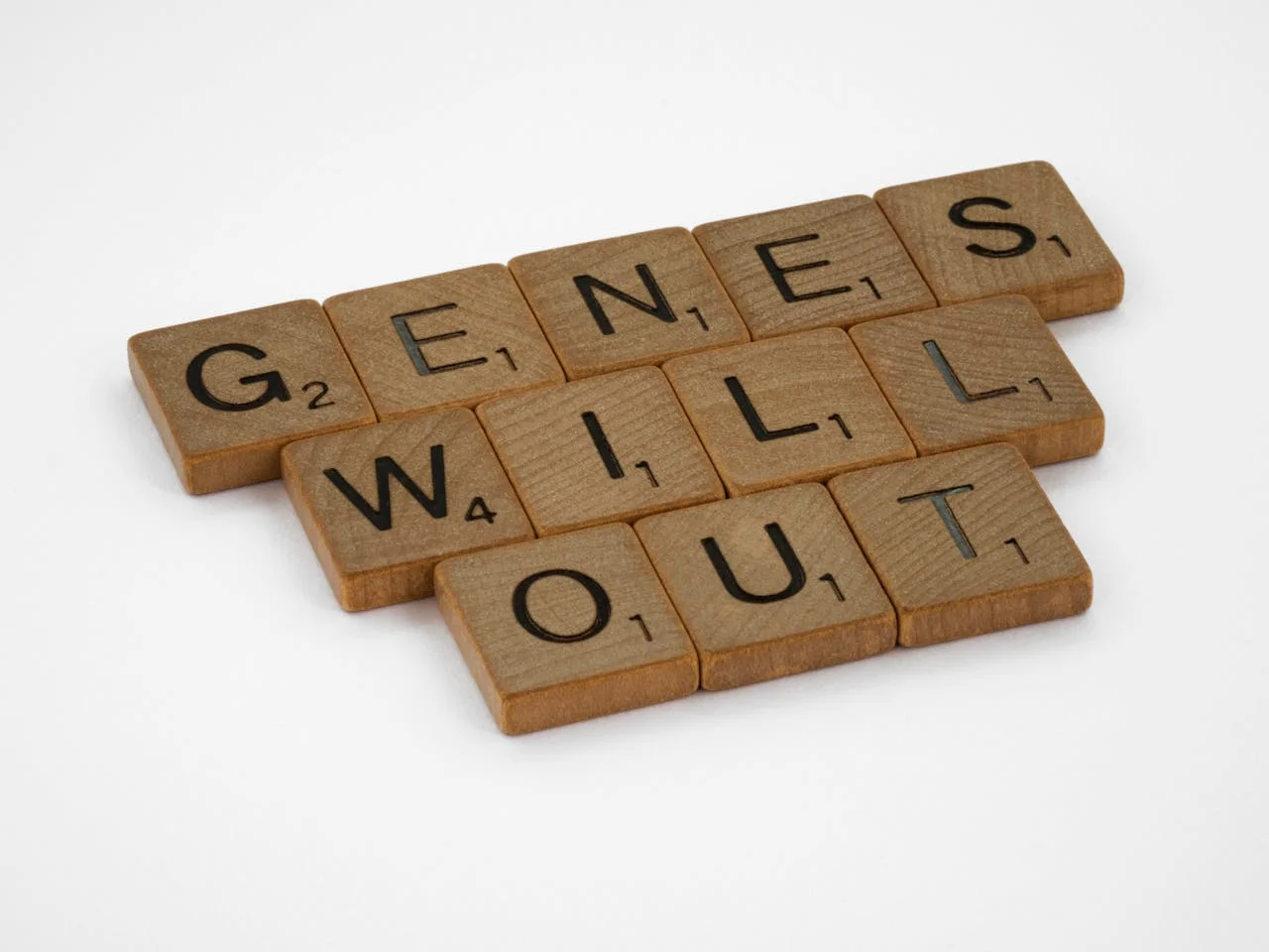 What Is a Gene: The Blueprint of Heredity and Function
