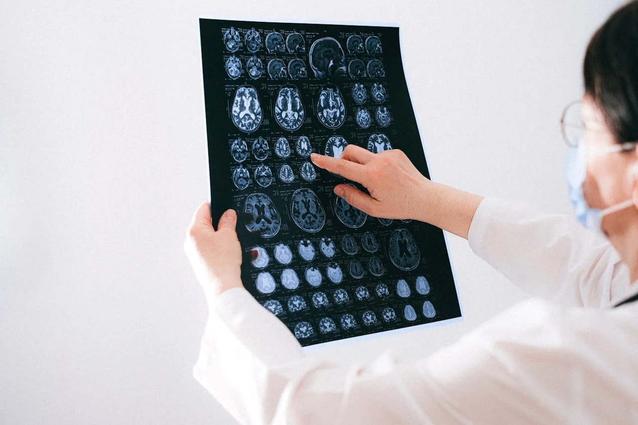 What Is the Nervous System: Your Body’s Command Center