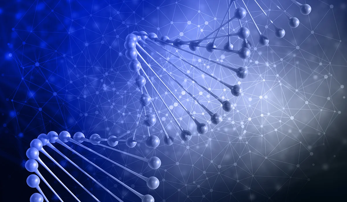 What is DNA and How Does a Gene Mutation Occur?