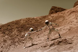 Who Discovered the Concept of Gravity?